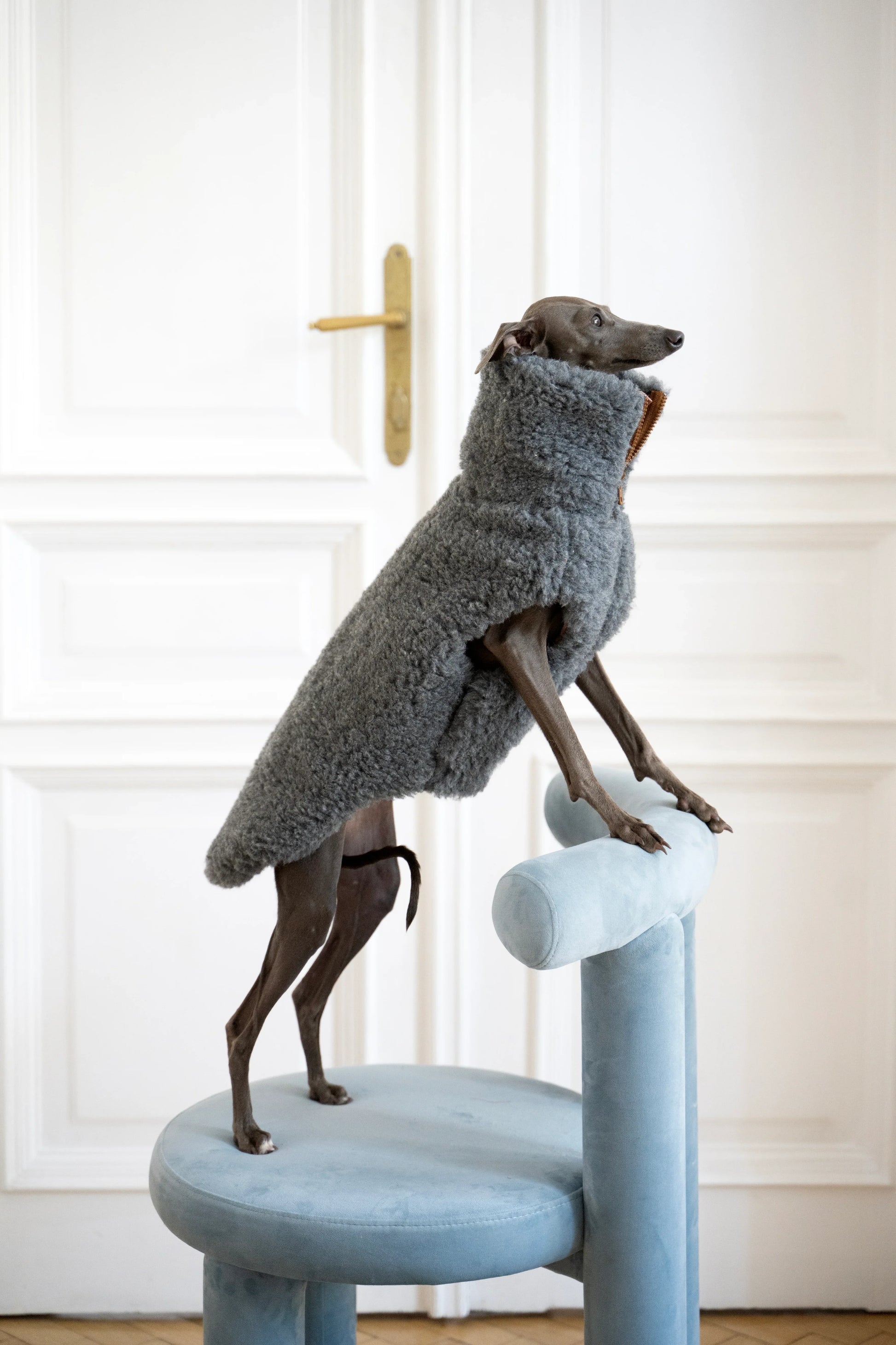 Woolen Dog Vest - Dark Grey - MellowConceptStore
