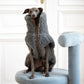 Woolen Dog Vest - Dark Grey - MellowConceptStore