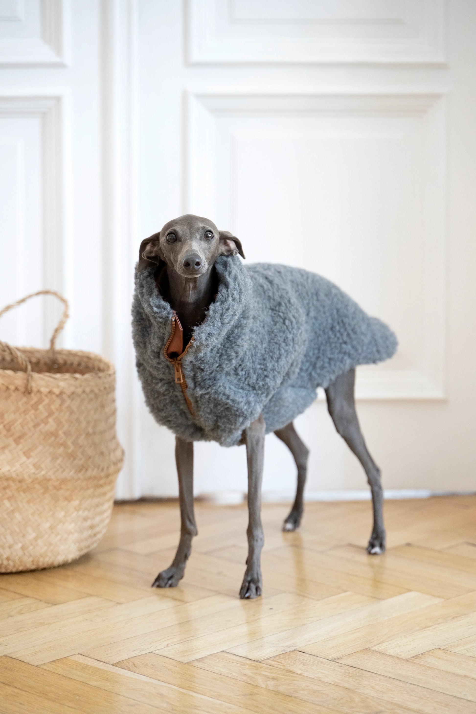Woolen Dog Vest - Dark Grey - MellowConceptStore