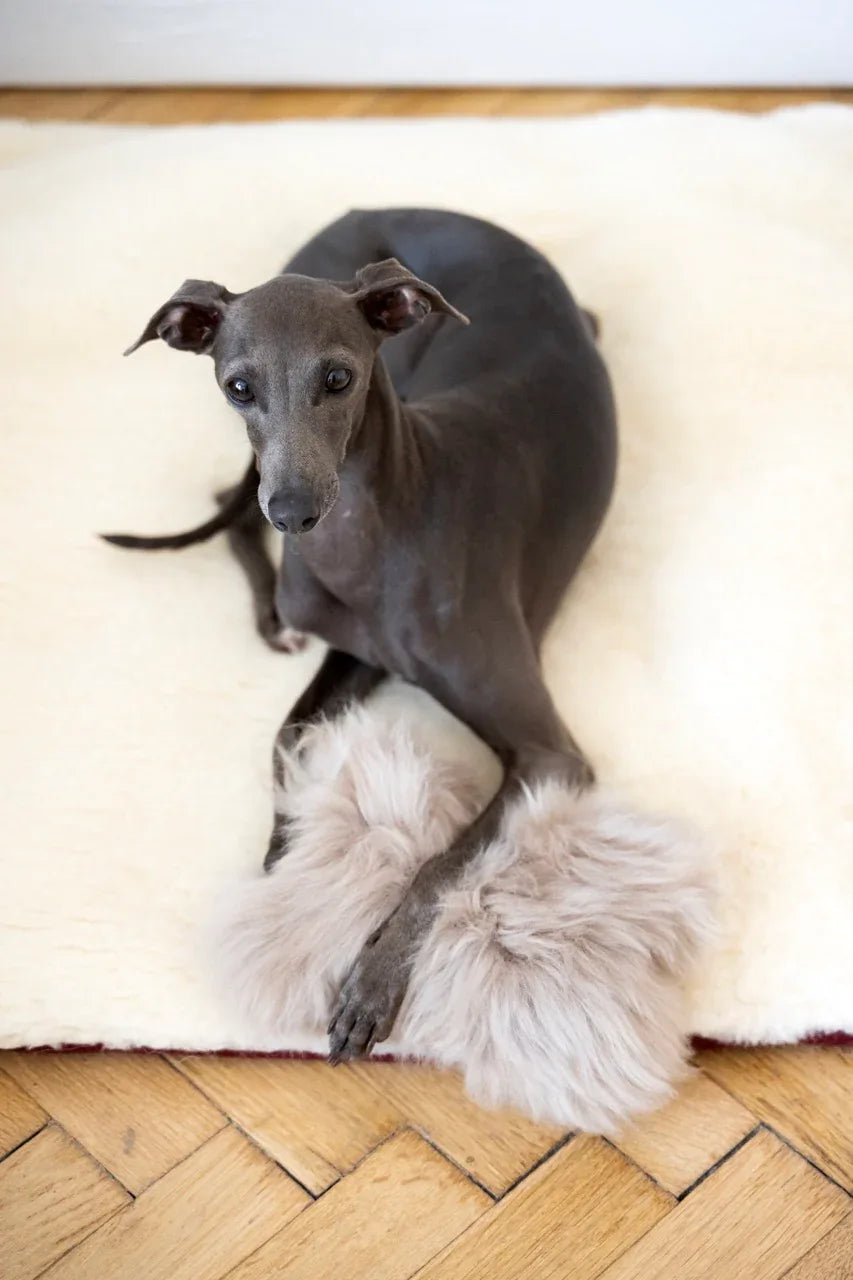 Natural Sheepskin Dog Toy - Bone - Beige - MellowConceptStore