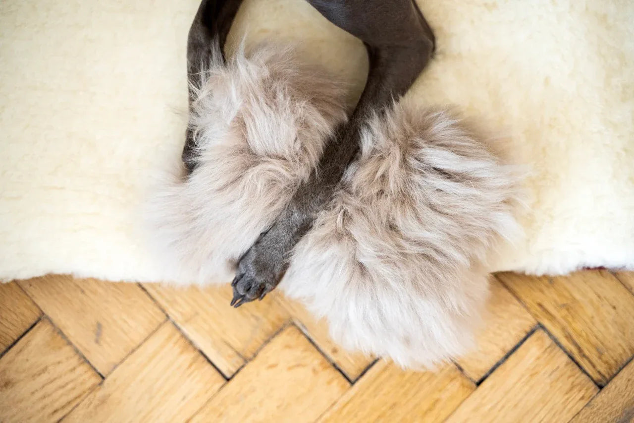 Natural Sheepskin Dog Toy - Bone - Beige - MellowConceptStore