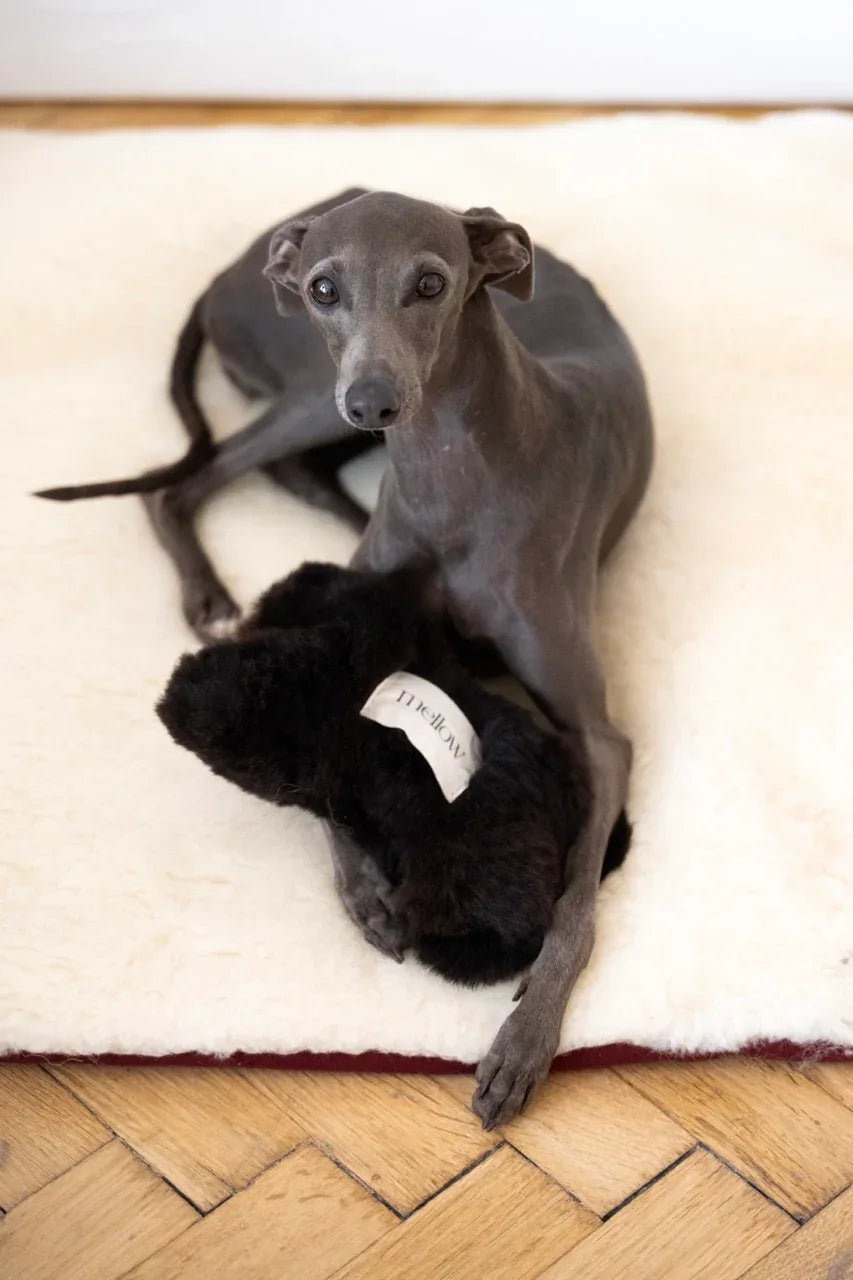 Natural Sheepskin Dog Toy - Bone - Black - MellowConceptStore
