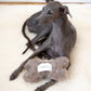 Natural Woolen Dog Toy - Bone - Beige - MellowConceptStore