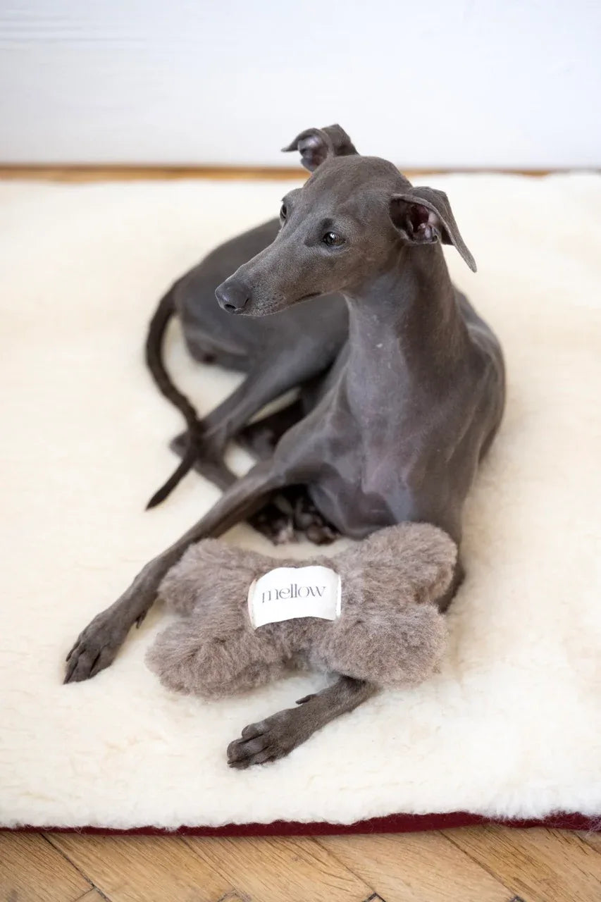 Natural Woolen Dog Toy - Bone - Beige - MellowConceptStore