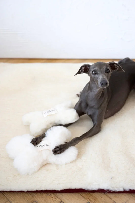 Natural Sheepskin Dog Toy - Bone - Beige - MellowConceptStore