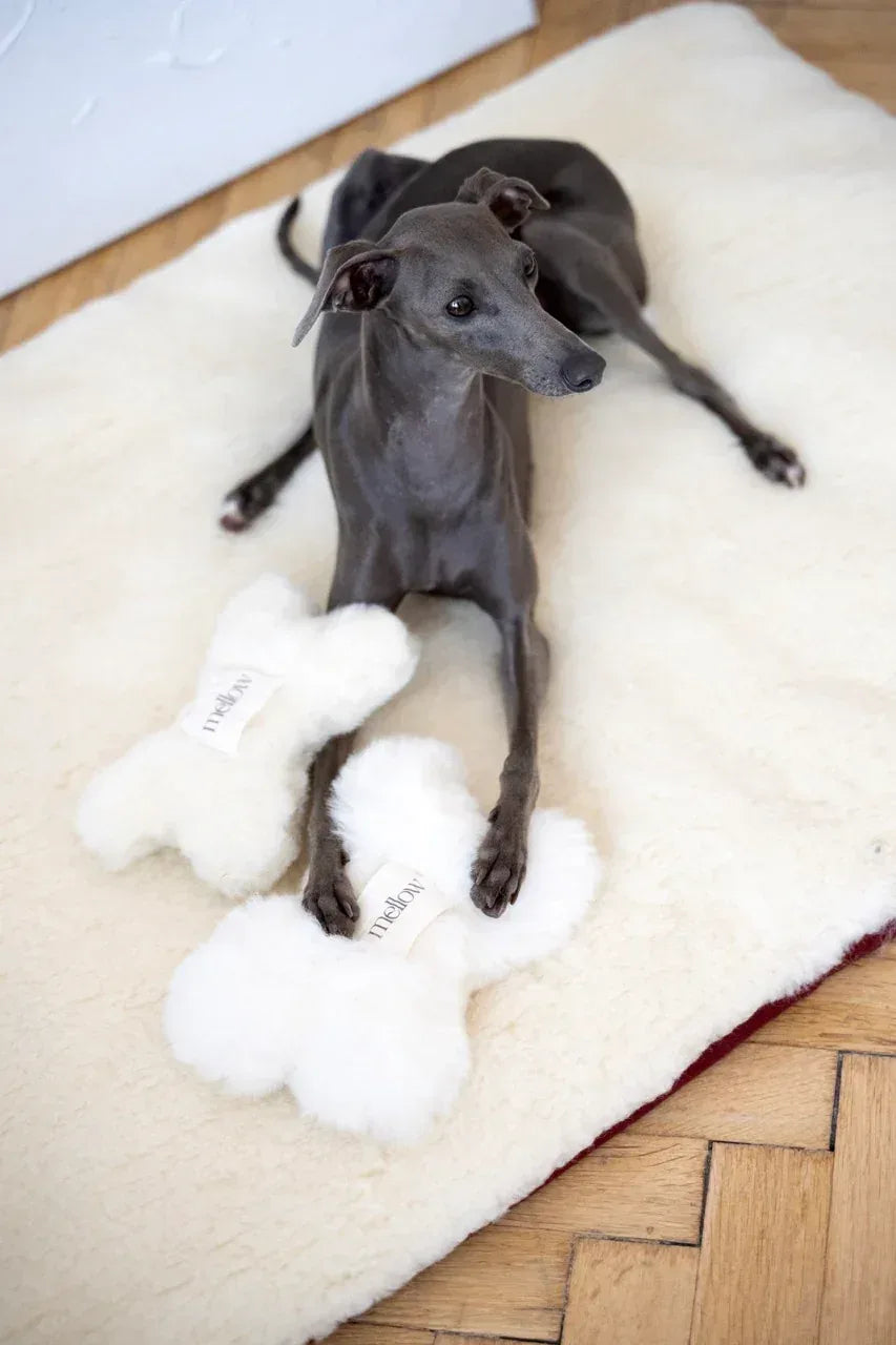 Square or Rectangular Natural Woolen Pet Mat - White - MellowConceptStore