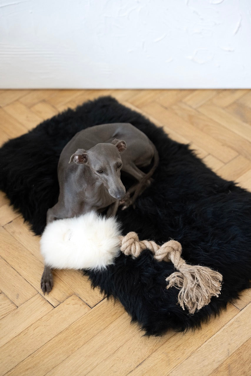 Natural Sheepskin Dog White Tug Toy 