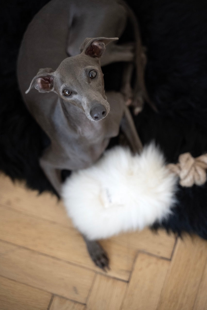 Natural Sheepskin Dog White Tug Toy 