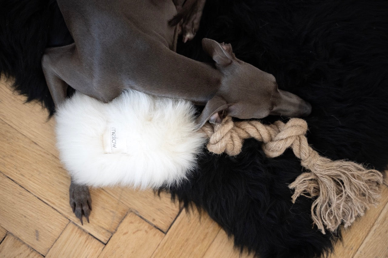 Natural Sheepskin Dog White Tug Toy 