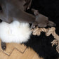Natural Sheepskin Dog White Tug Toy 