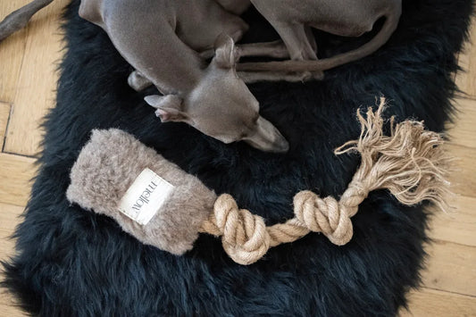 Natural Woolen Dog Tug Toy - Beige - MellowConceptStore