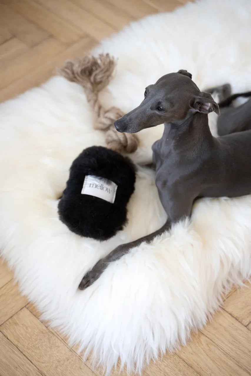 Natural Sheepskin Dog Tug Toy - Black - MellowConceptStore