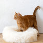 Round Natural Sheepskin White Pet Bed 