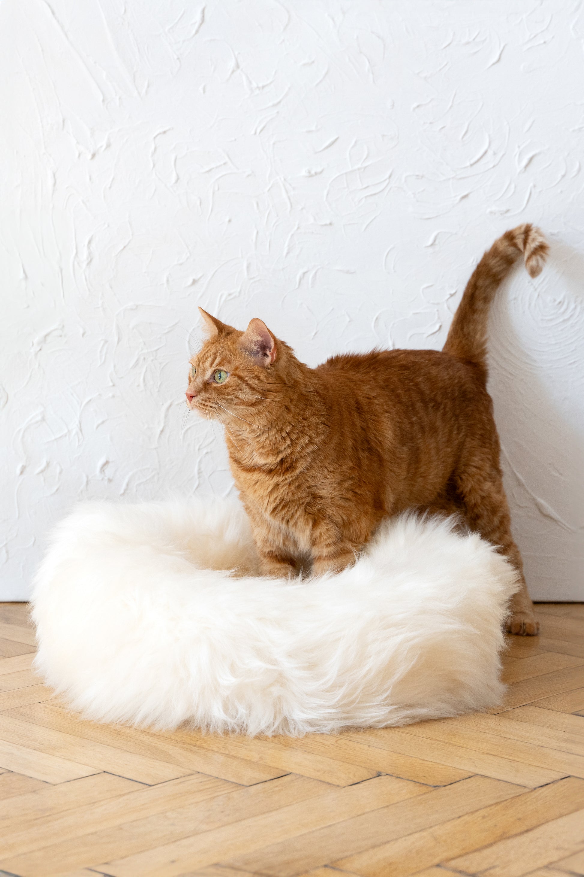 Round Natural Sheepskin White Pet Bed 