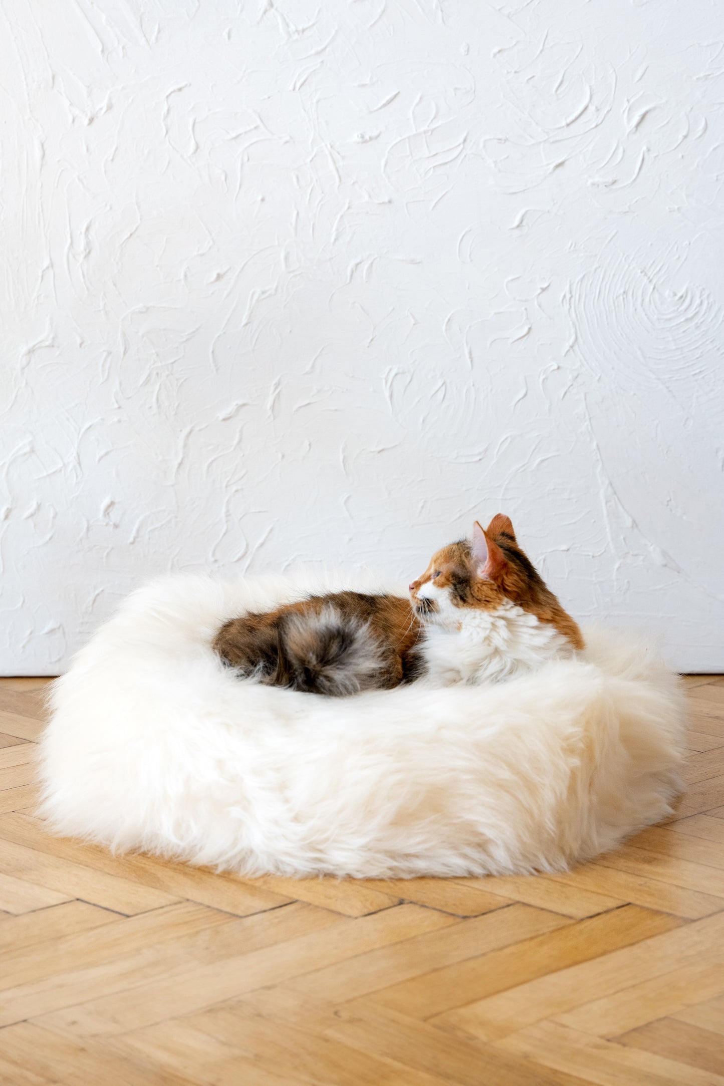 Round Natural Sheepskin White Pet Bed 