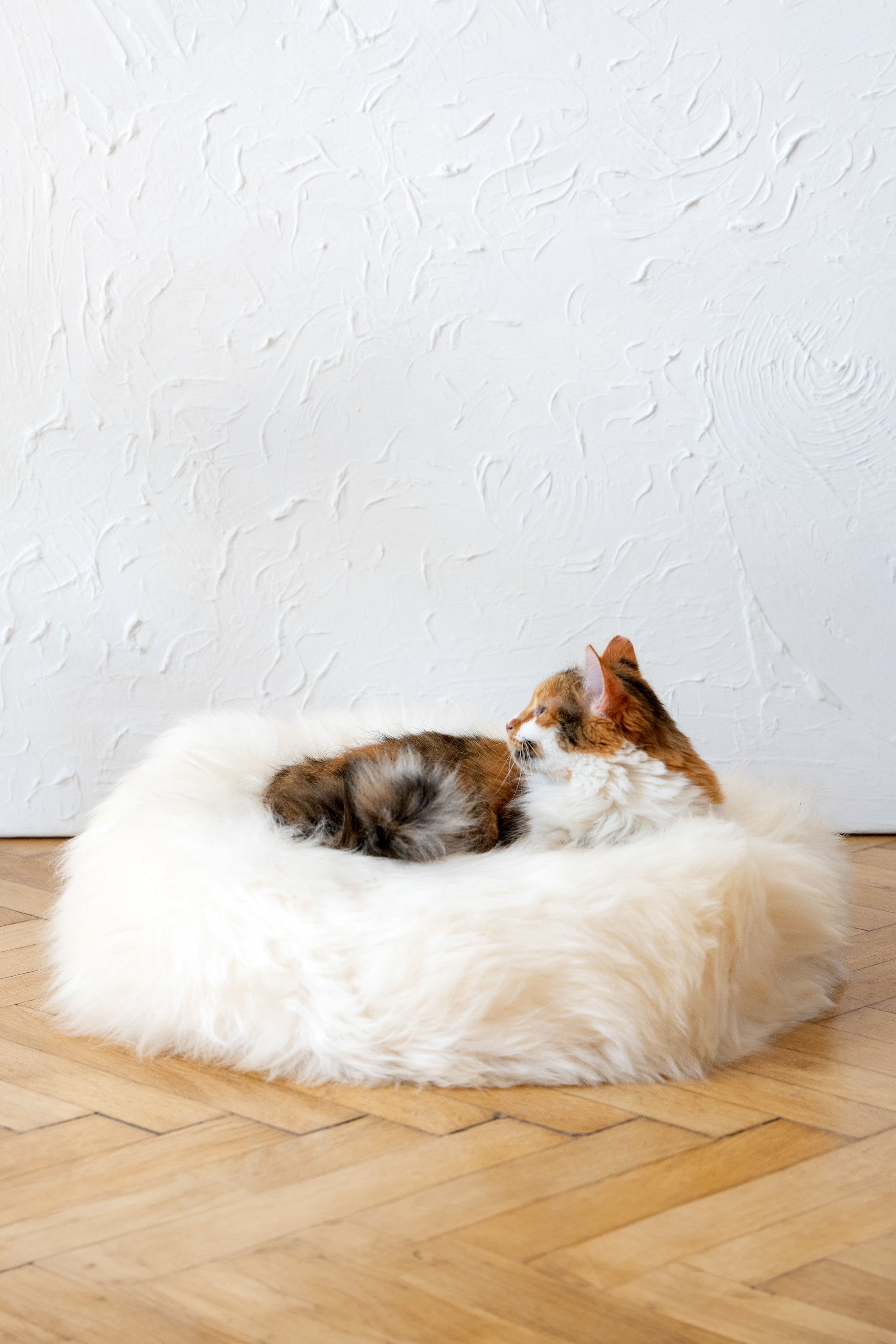 Round Natural Sheepskin White Pet Bed 