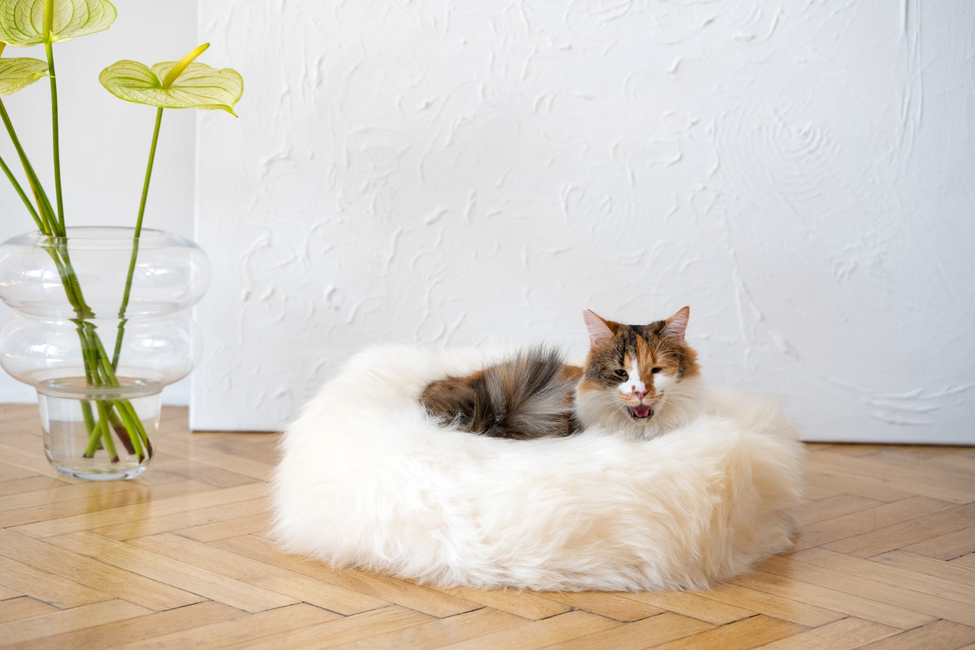 Round Natural Sheepskin White Pet Bed 