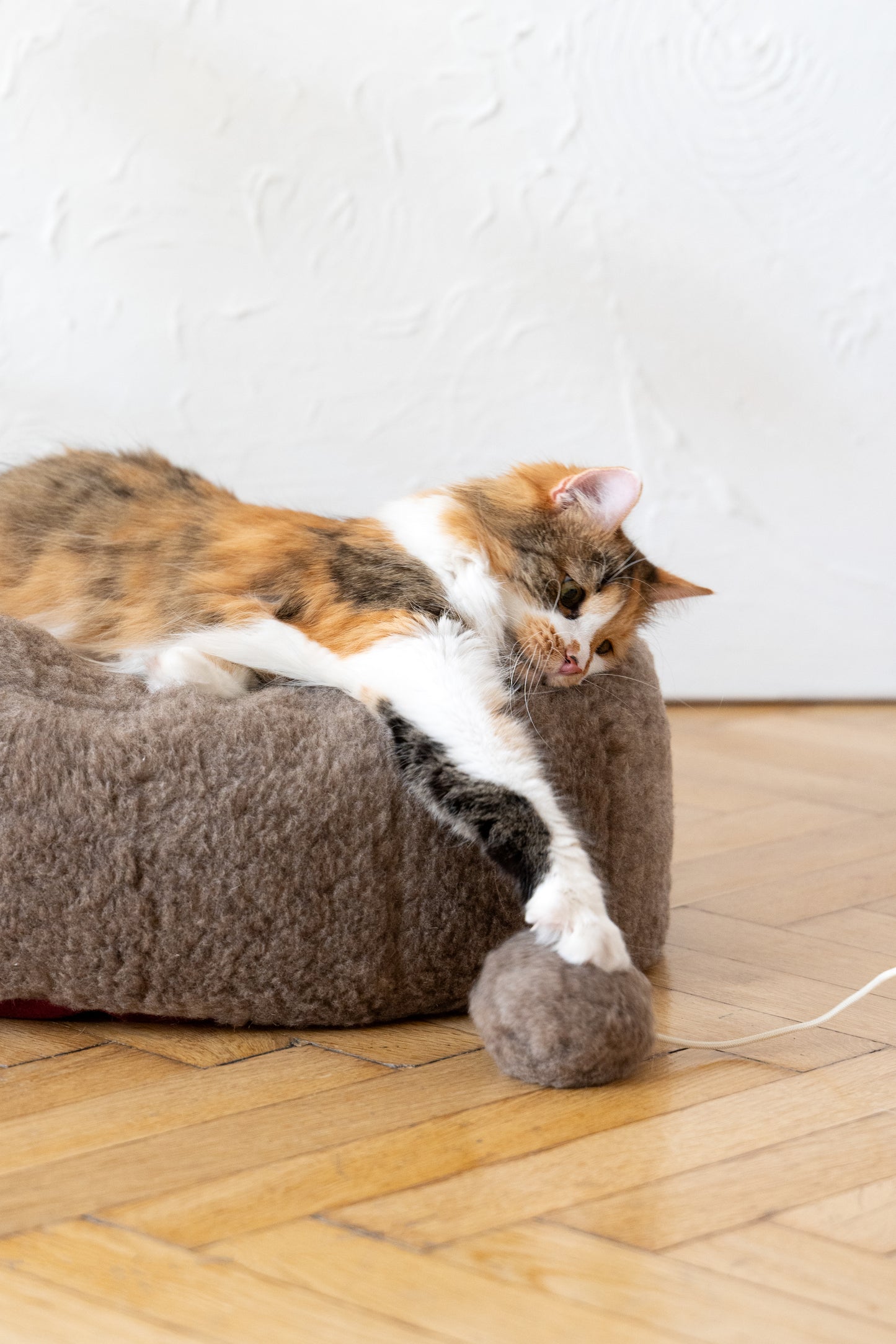 Oval Natural Wool Pet Bed  Beige