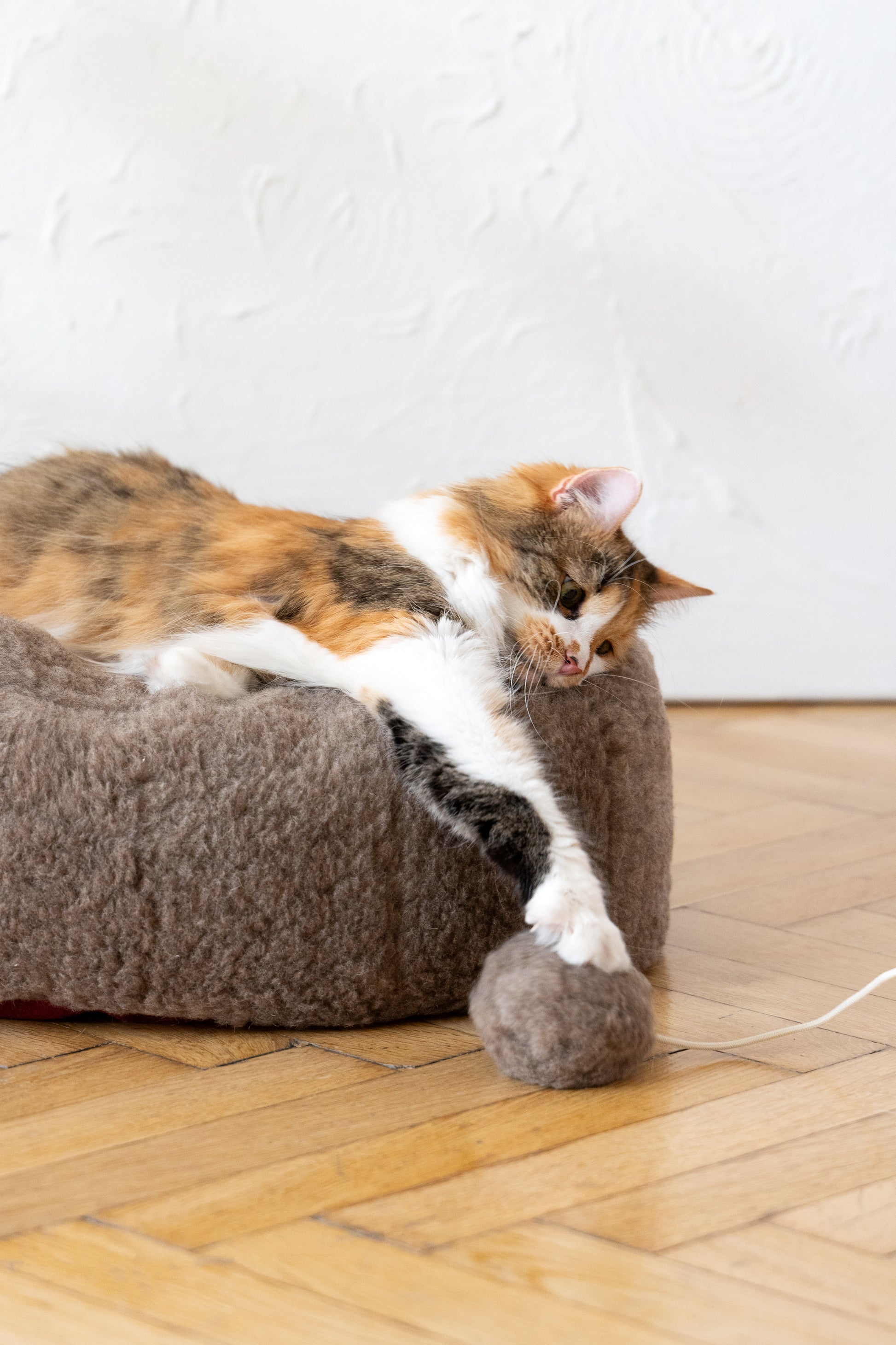 Oval Natural Wool Pet Bed  Beige