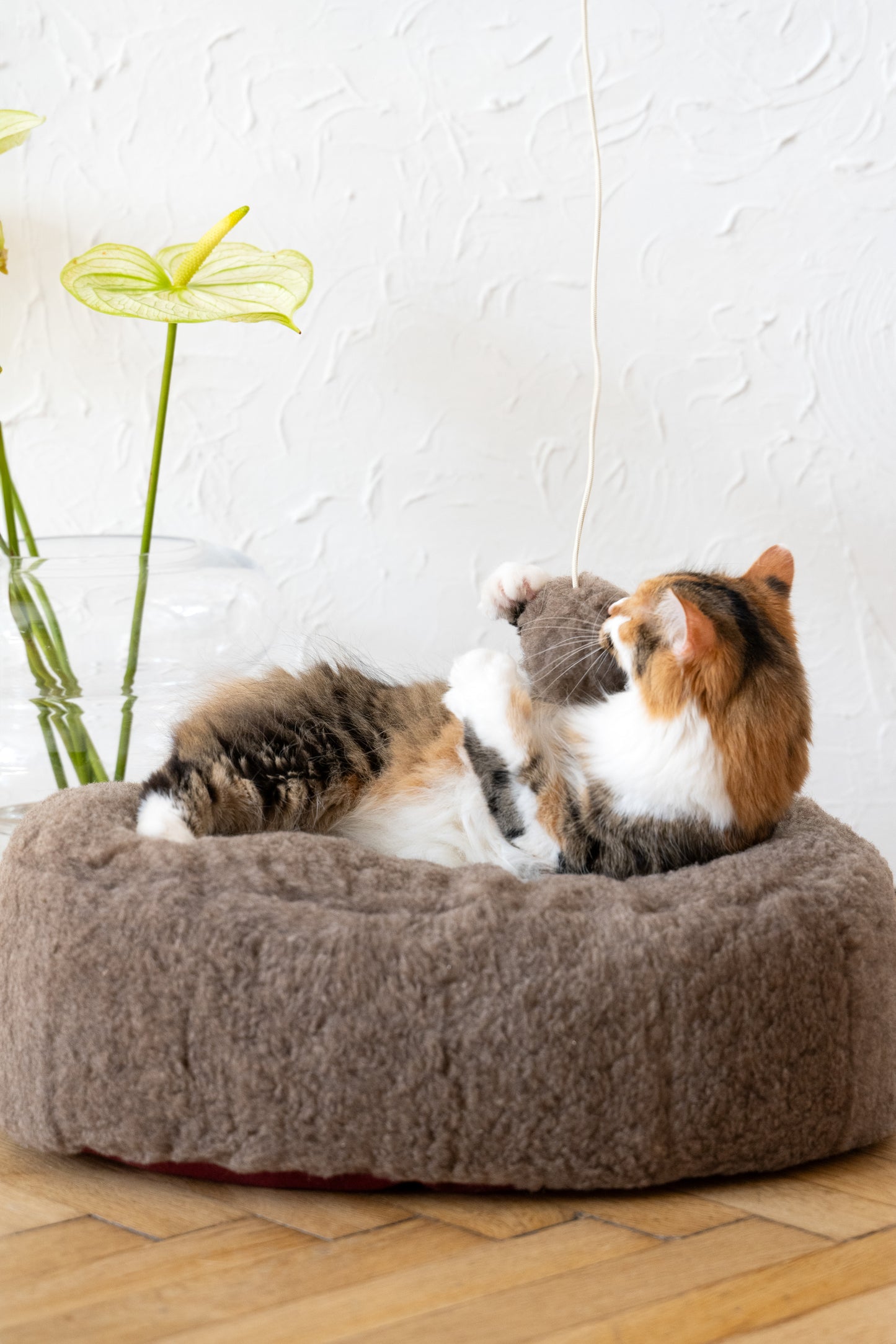 Oval Natural Wool Pet Bed  Beige