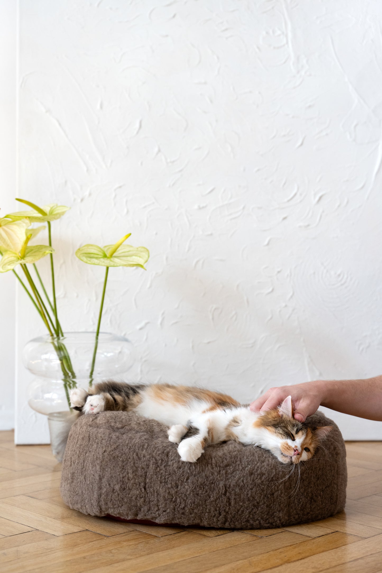 Oval Natural Wool Pet Bed  Beige