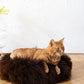 Round Natural Sheepskin Pet Bed Brown