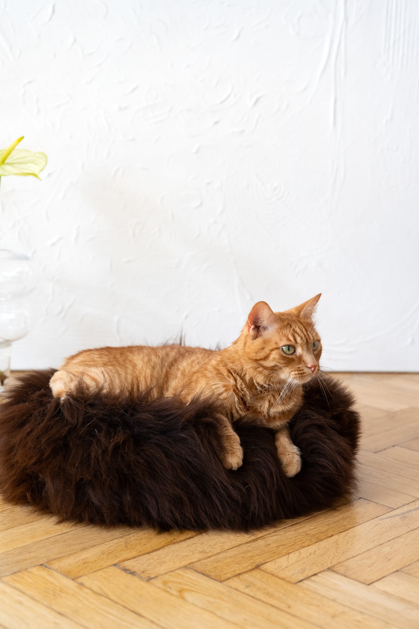 Round Natural Sheepskin Pet Bed Brown