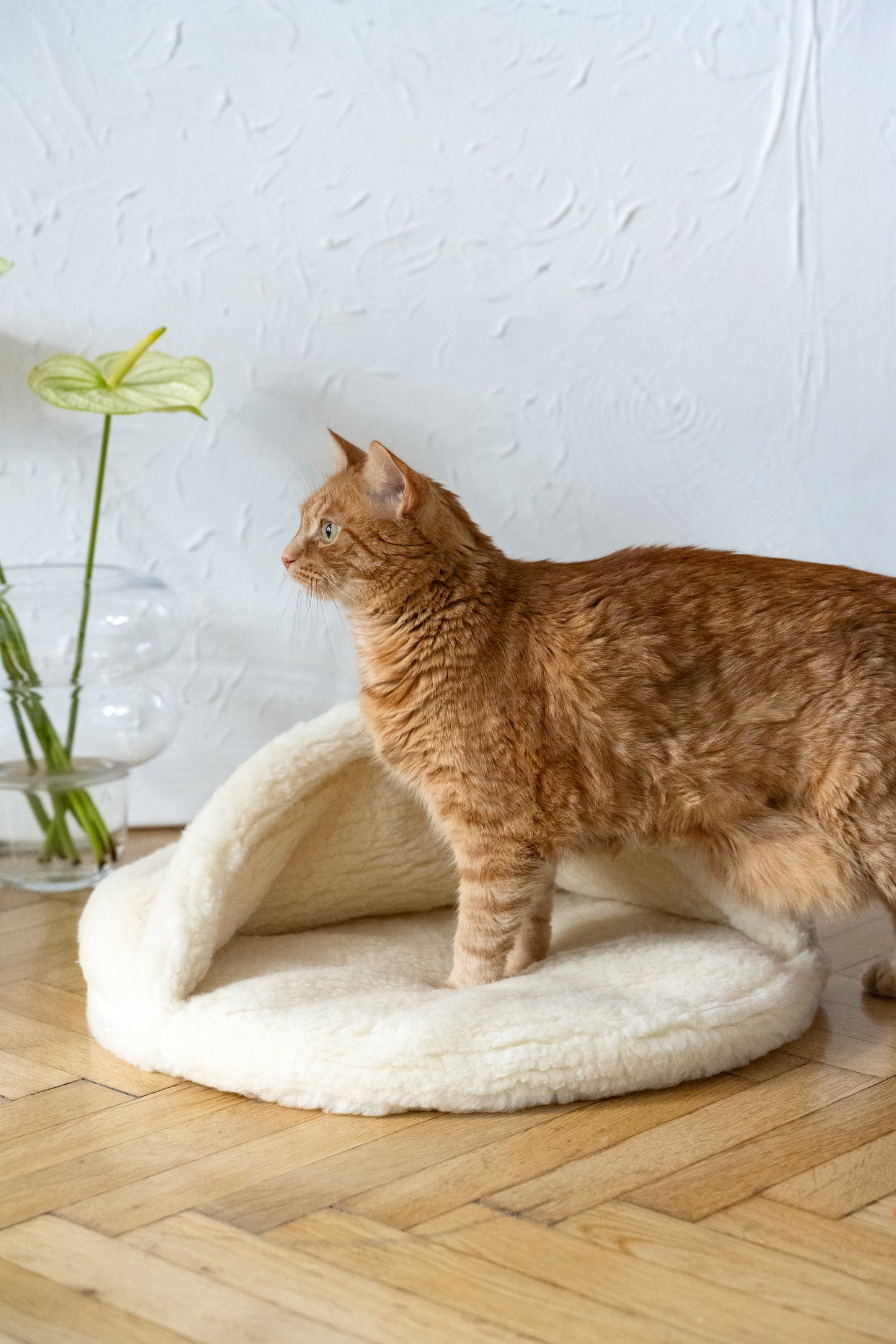 Natural White Wool Pet Cave  