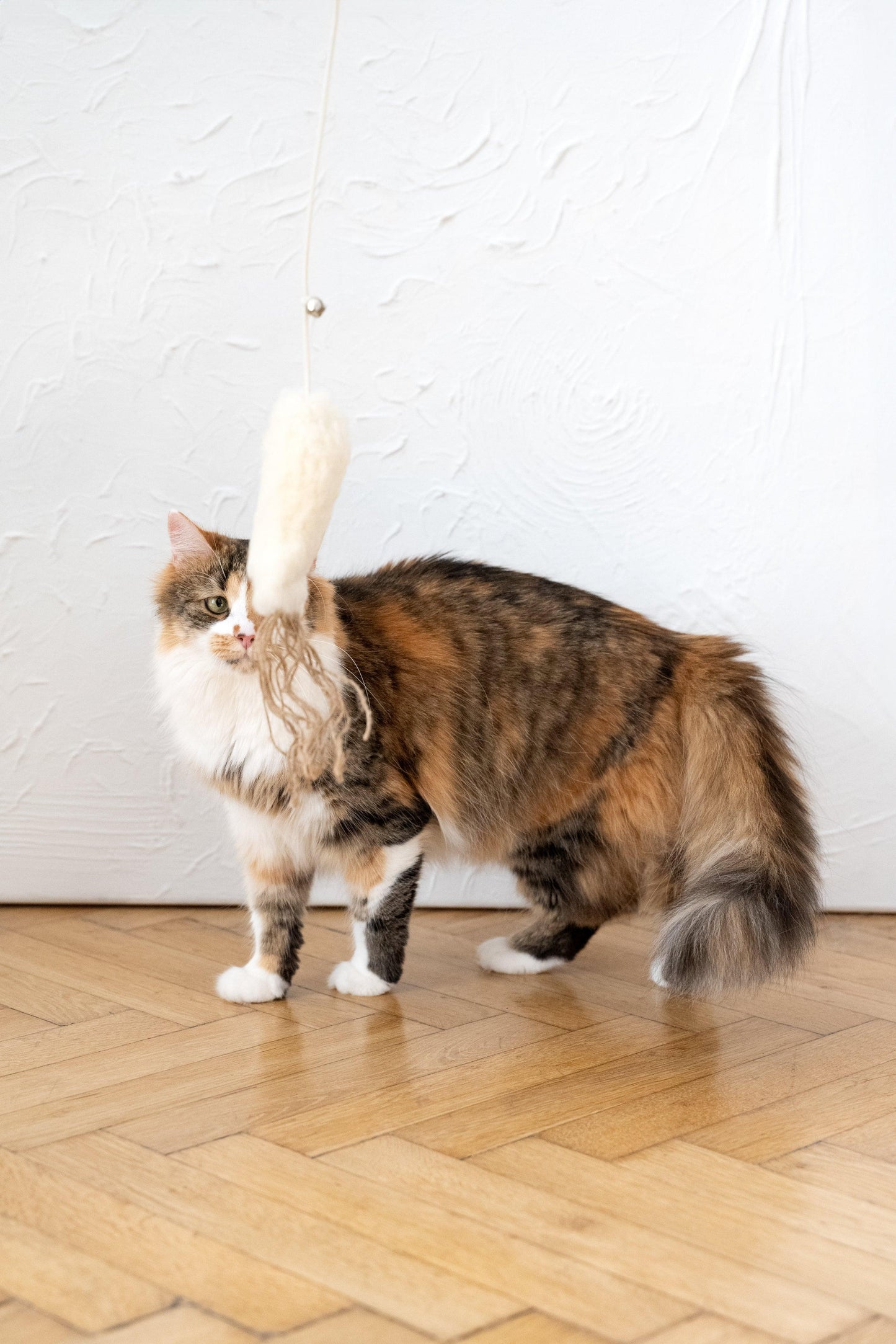 Natural Woolen Cat Toy: Fish - MellowConceptStore