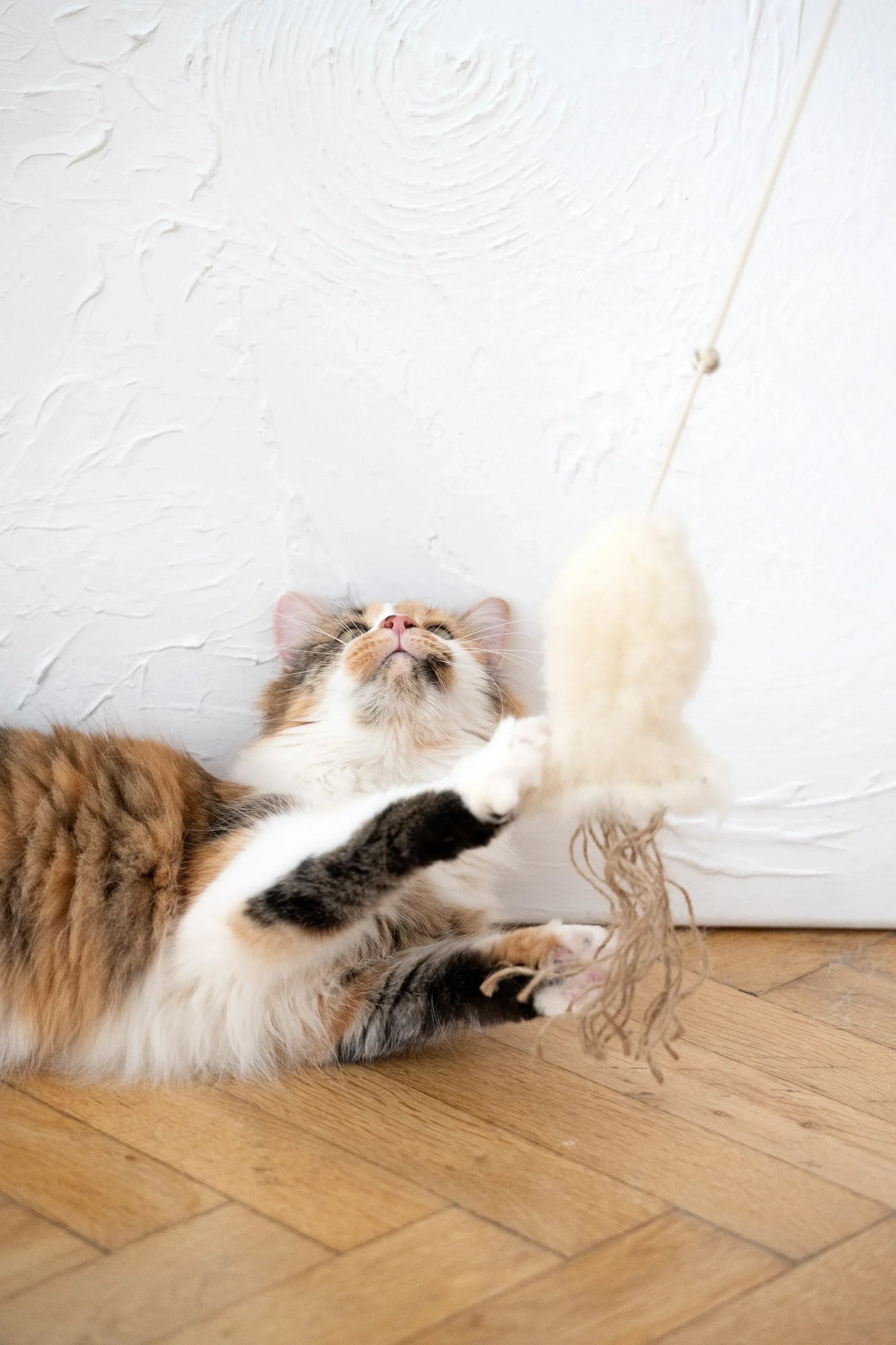 Natural Woolen Cat Toy: Fish - MellowConceptStore