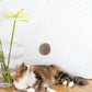 Natural Sheepskin Cat Toy: Ball - MellowConceptStore