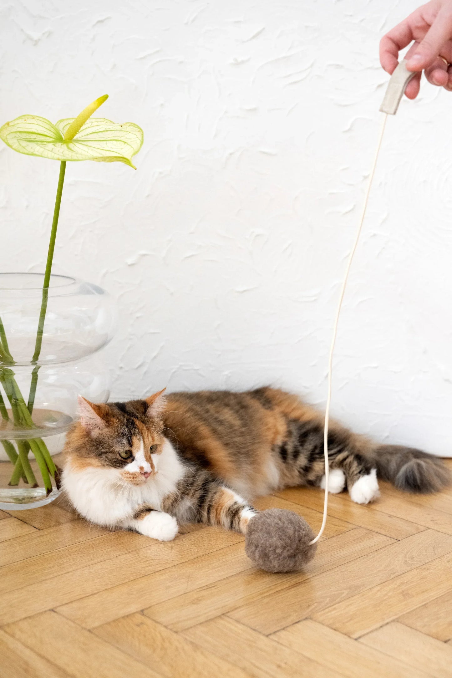 Natural Sheepskin Cat Toy: Ball - MellowConceptStore