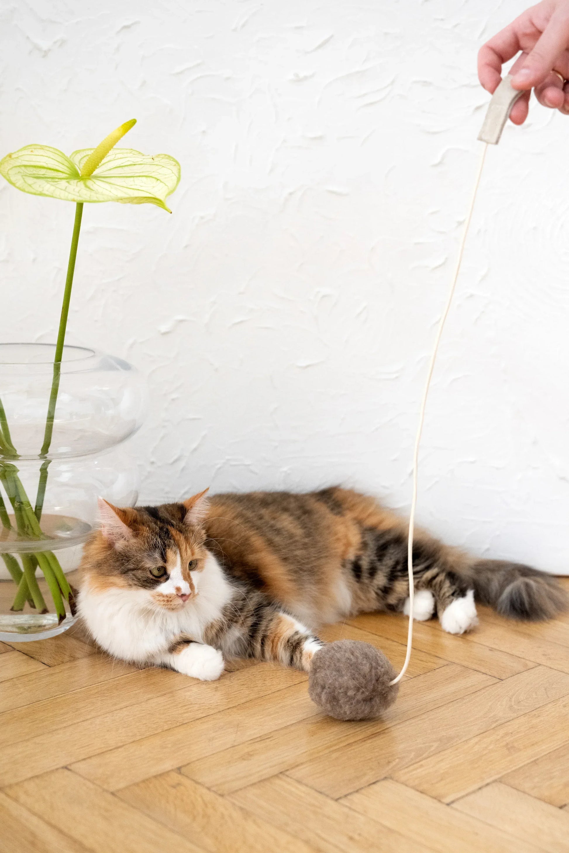 Natural Sheepskin Cat Toy: Ball - MellowConceptStore