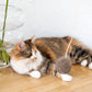Natural Sheepskin Cat Toy: Ball - MellowConceptStore