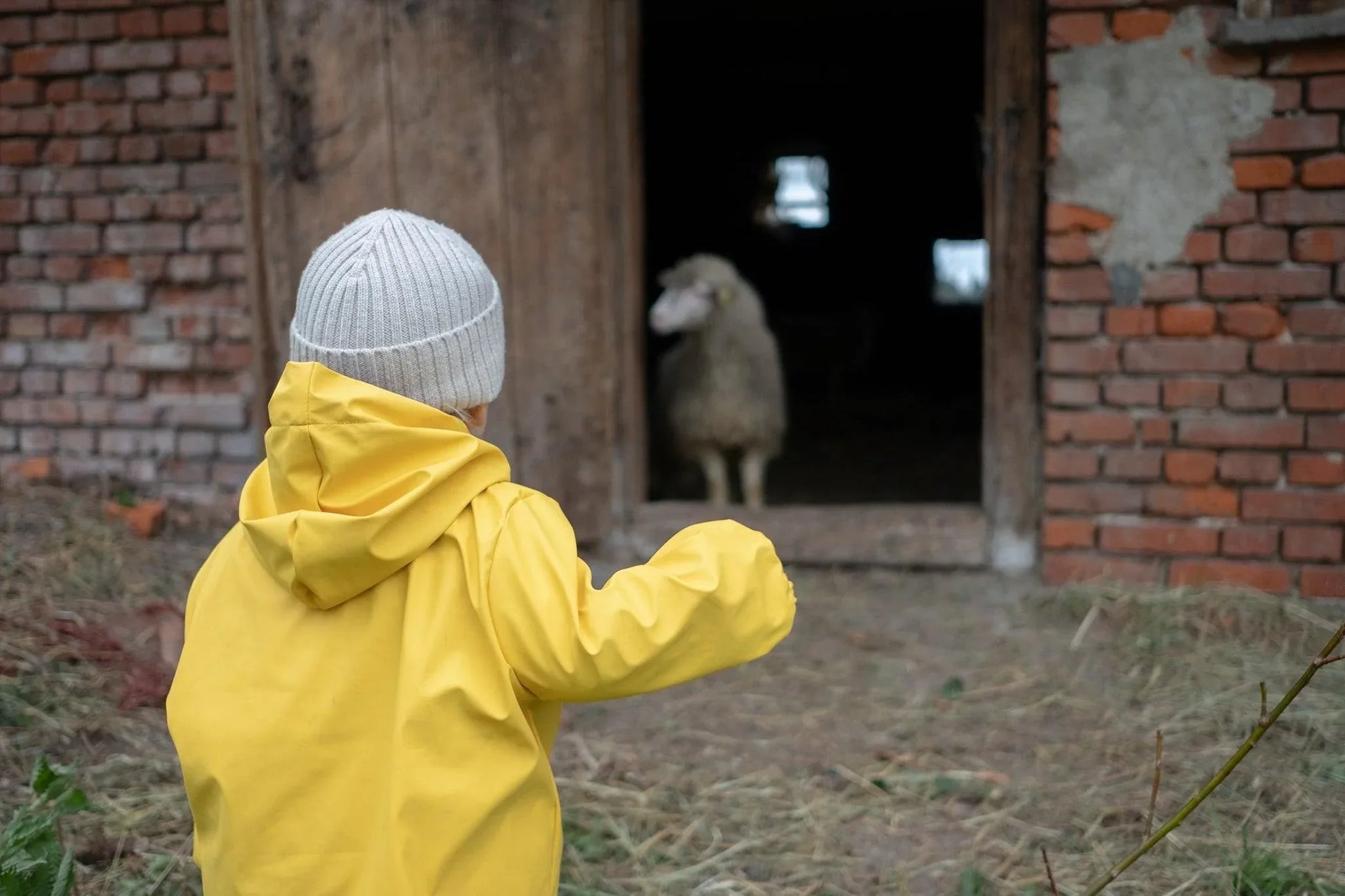 Waterproof Baby/Kid Clothing Set - Yellow - MellowConceptStore