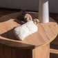 Natural Woolen Dog Tug Toy - White - MellowConceptStore