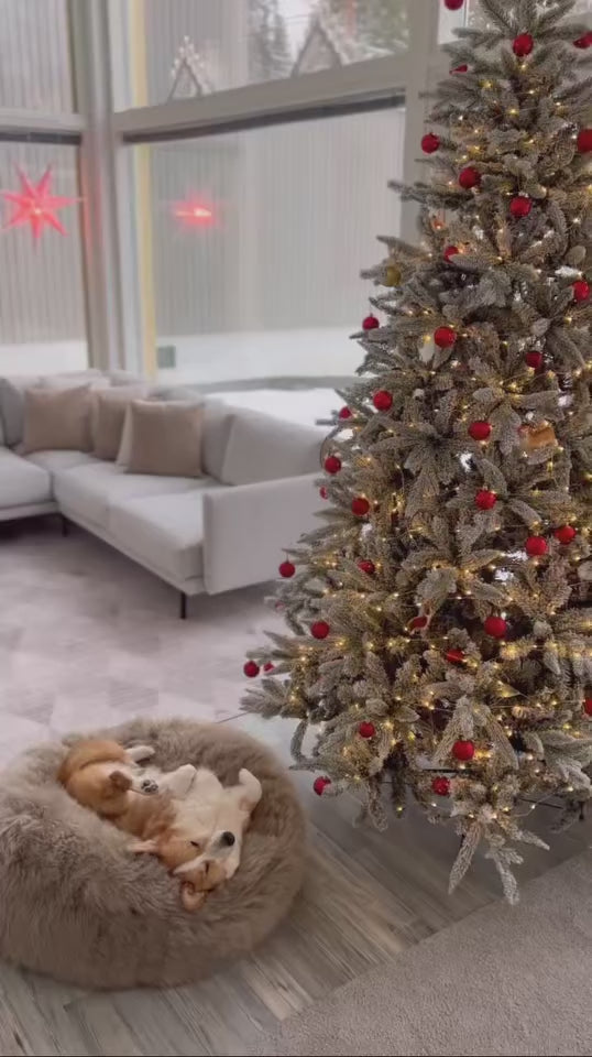 A dog resting on an Oval Natural Sheepskin Pet Bed - Greige from Mellow Pet Store.