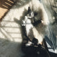A grey and white cat relaxing on a Mellow Pet Store Natural Sheepskin Rug for Pet.
