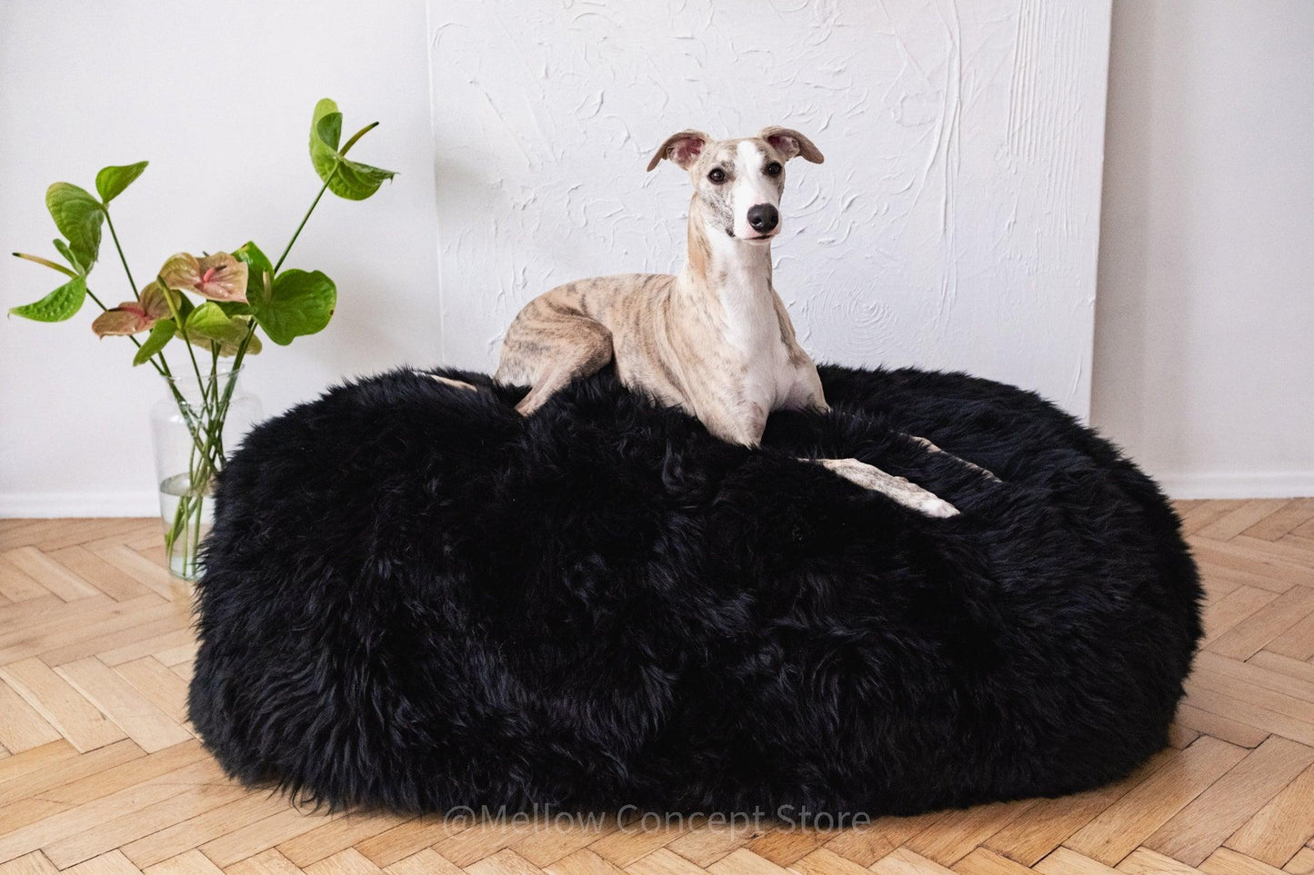 A greyhound lounging on a Mellow Pet Store Oval Natural Sheepskin Pet Bed in black.