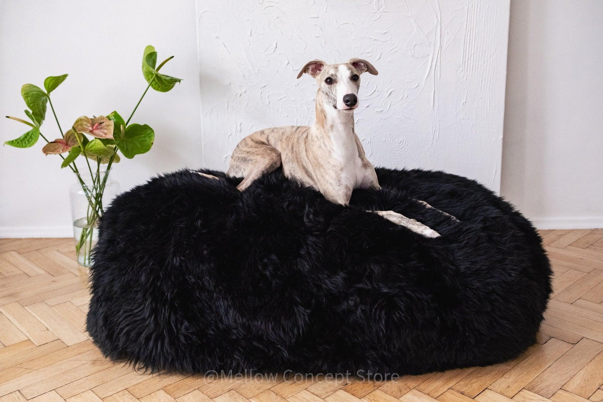 A greyhound lounging on a Mellow Pet Store Oval Natural Sheepskin Pet Bed in black.