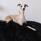 A greyhound dog lounging on a Mellow Pet Store Oval Natural Sheepskin Pet Bed in black.