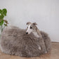 A dog is perched on a fluffy Oval Natural Sheepskin Pet Bed from Mellow Pet Store.