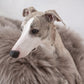 A greyhound dog resting on a fluffy Oval Natural Sheepskin Pet Bed - Greige made by Mellow Pet Store.