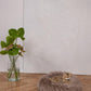 A cat resting on a Round Natural Sheepskin Pet Bed in a room with a vase.