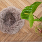 A Round Natural Sheepskin Pet Bed from Mellow Pet Store sits on a wooden floor, providing a cozy spot for your pet. Made from natural sheepskin, it is an eco-friendly choice for your furry friend.