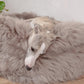 A dog lounging in a Oval Natural Sheepskin Pet Bed - Greige from Mellow Pet Store.