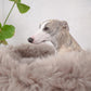 A greyhound dog resting on a fluffy Oval Natural Sheepskin Pet Bed - Greige made by Mellow Pet Store.