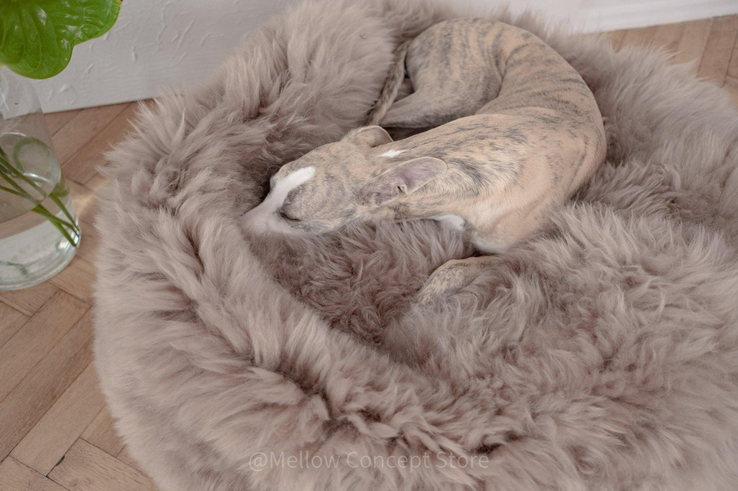 A dog resting on an Oval Natural Sheepskin Pet Bed - Greige from Mellow Pet Store.