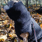 Woolen Dog Vest - Charcoal - MellowConceptStore