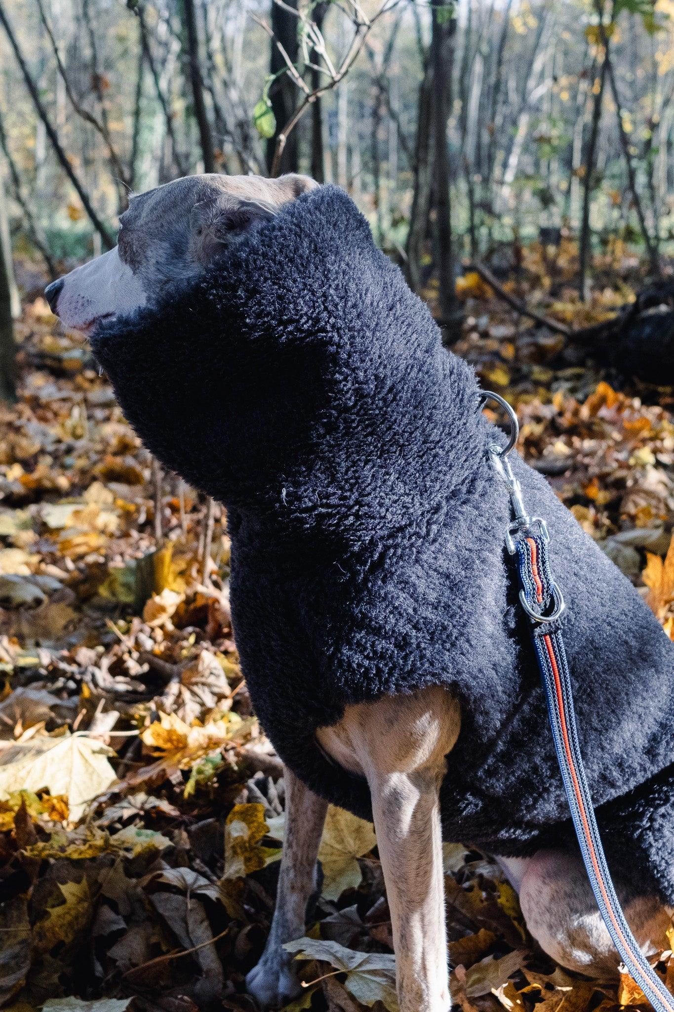 Woolen Dog Vest - Charcoal - MellowConceptStore